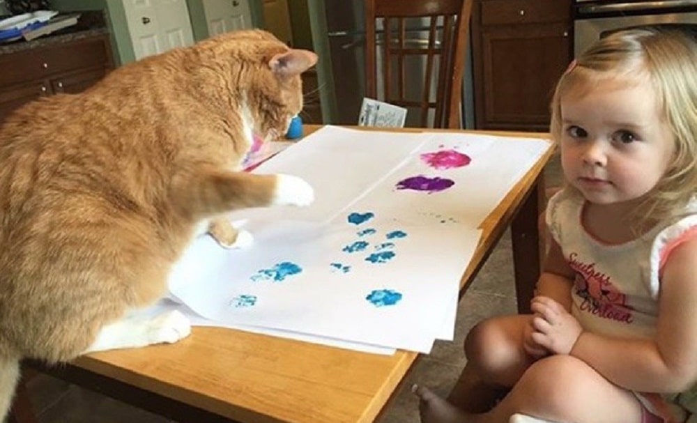 Gatinho Da Ultimo Suspiro Nos Bracos De Menina De 7 Anos Que Canta Para Ele Jornal De Brasilia