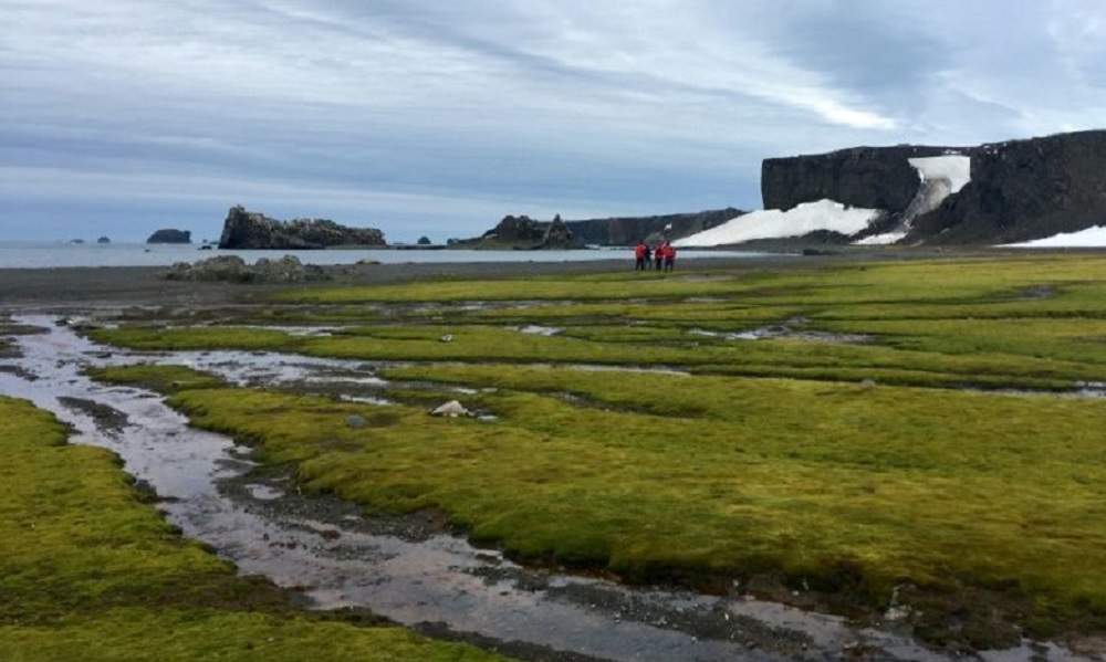 Microplásticos são encontrados no ecossistema terrestre da Antártica ...