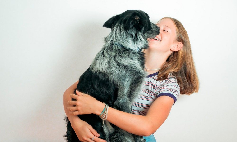 Alimentação do cachorro: Tudo o que você precisa saber