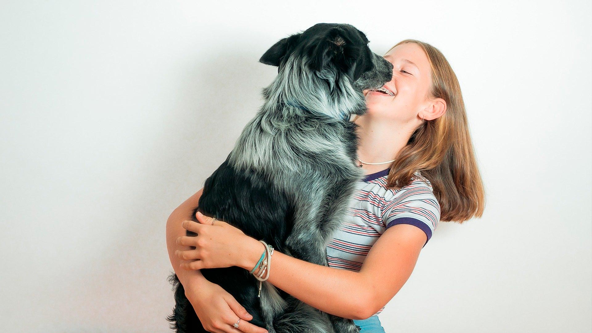 Alimentação do cachorro: Tudo o que você precisa saber