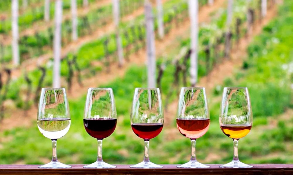 vinhos
