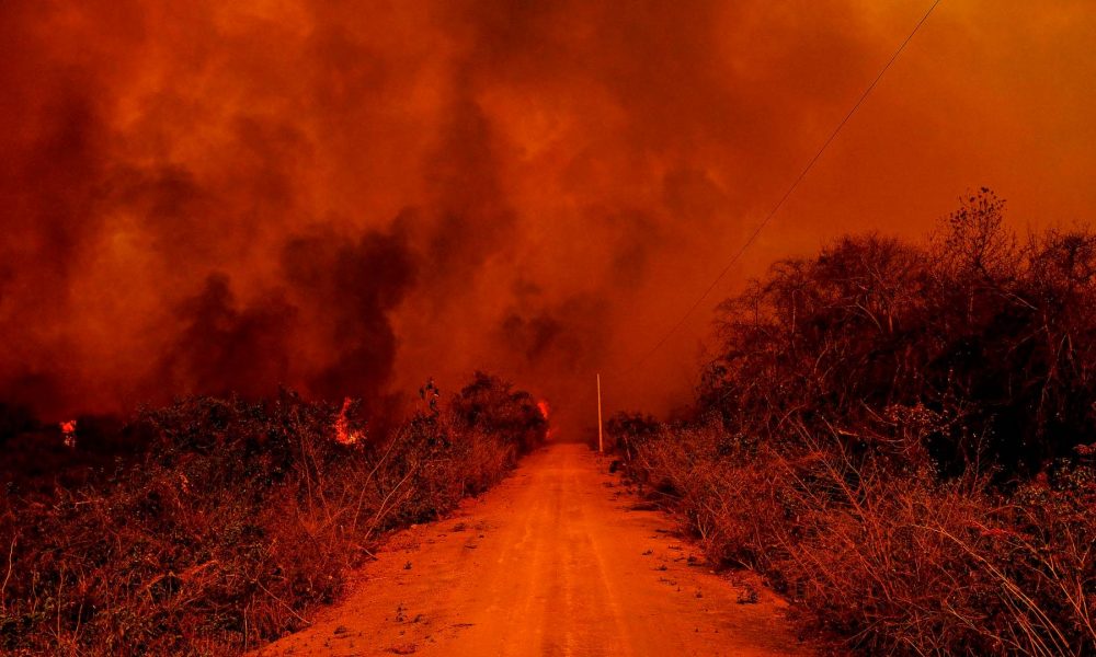 Imagem & credibilidade #047 - Enquanto as florestas queimam, começa o FlaXFlu das eleições municipais