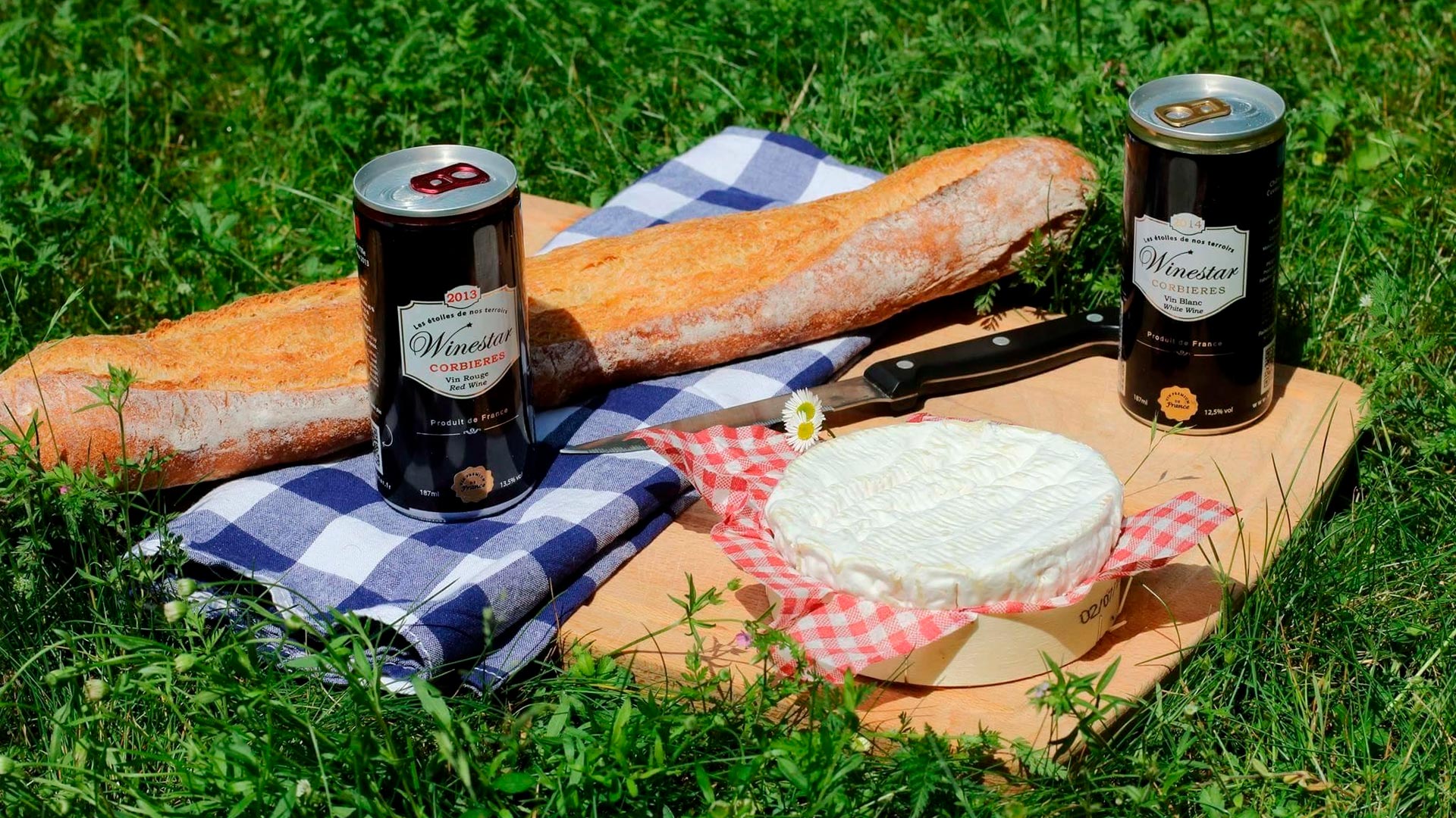 Conheça os Vinhos em lata