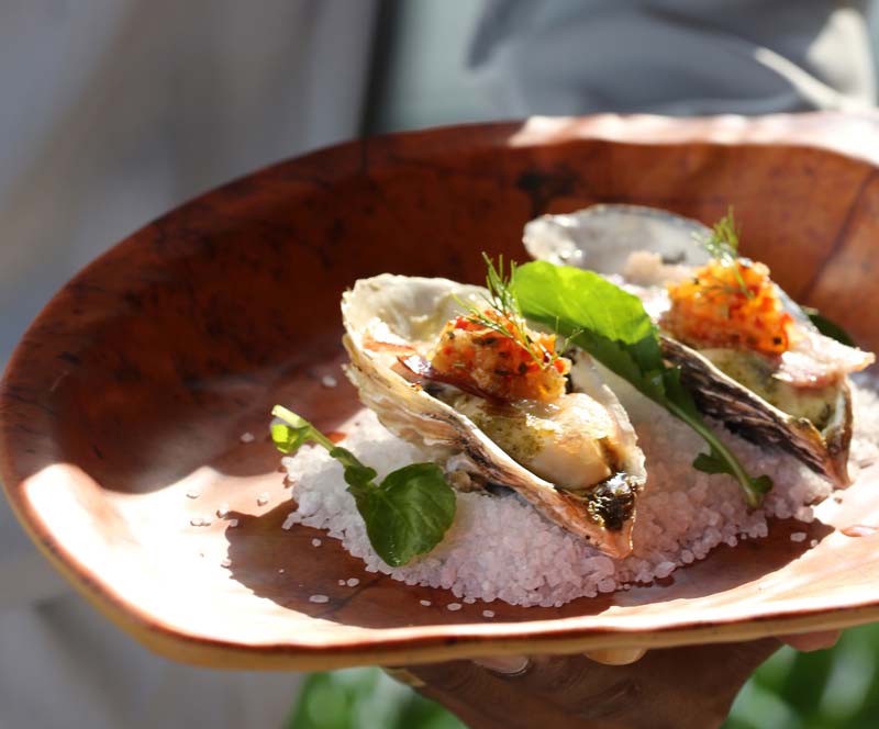 Ostras. Foto: Inove Aceleradora