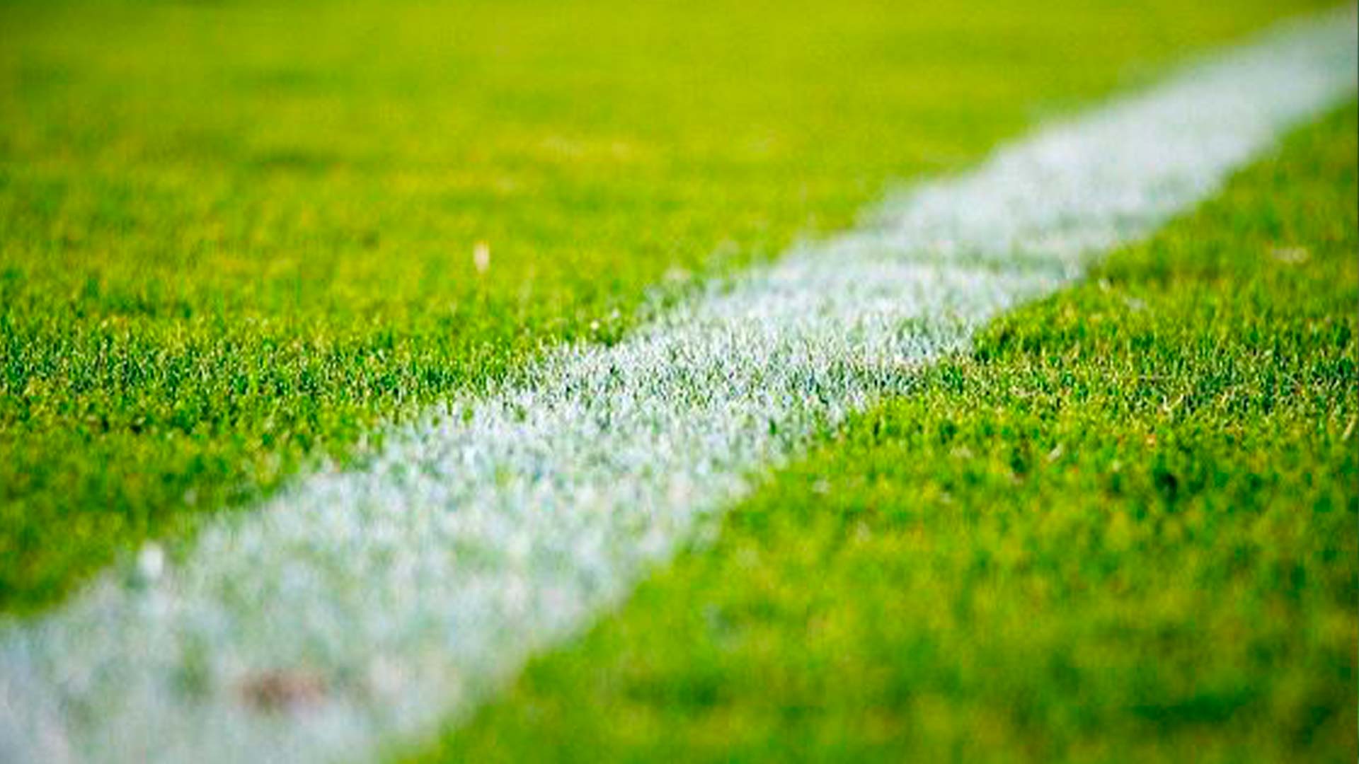 Como a queda da economia pode acelerar a legalização das apostas esportivas no Brasil