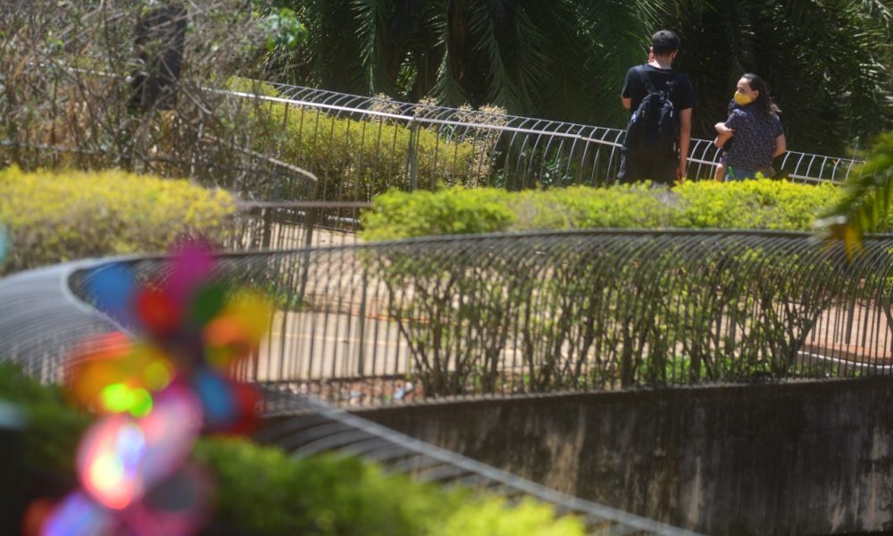 Zoológico de Brasília no primeiro dia de reabertura. Foto: Vítor Mendonça/Jornal de Brasília