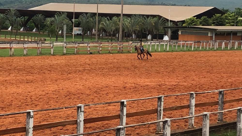 O retorno da Granja do Torto Jornal de Brasília O retorno da Granja do Torto Jornal de Brasília