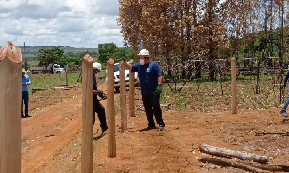 Foto: Divulgação/DF Legal