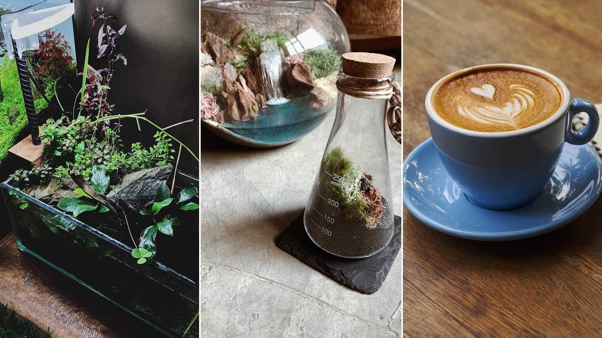 Faça você mesmo! 365.Store promove três workshops neste fim de semana