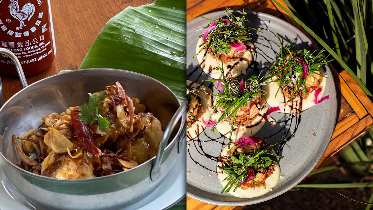 Dia Mundial Sem Carne