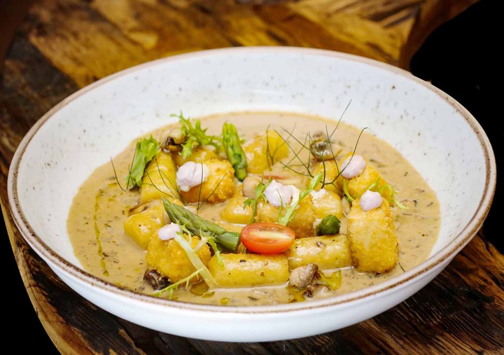 Tofu Y Noqui. Foto: Inove Aceleradora