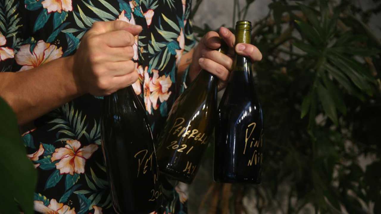 Degustação de vinhos