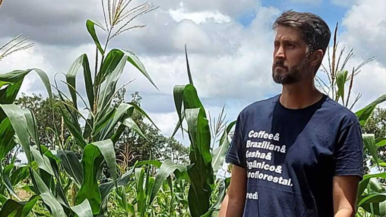 Morador do DF cria vaquinha online para plantar 20 mil árvores