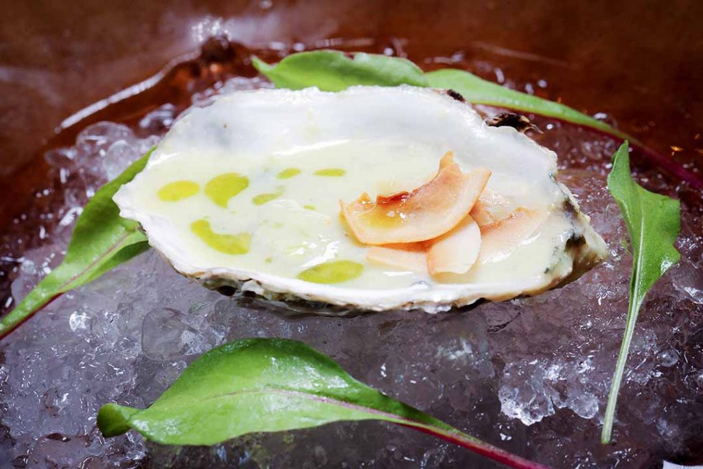  Ostras frescas com molho de curry, amendoim e lâminas de coco dourado. Foto: Inove Aceleradora
