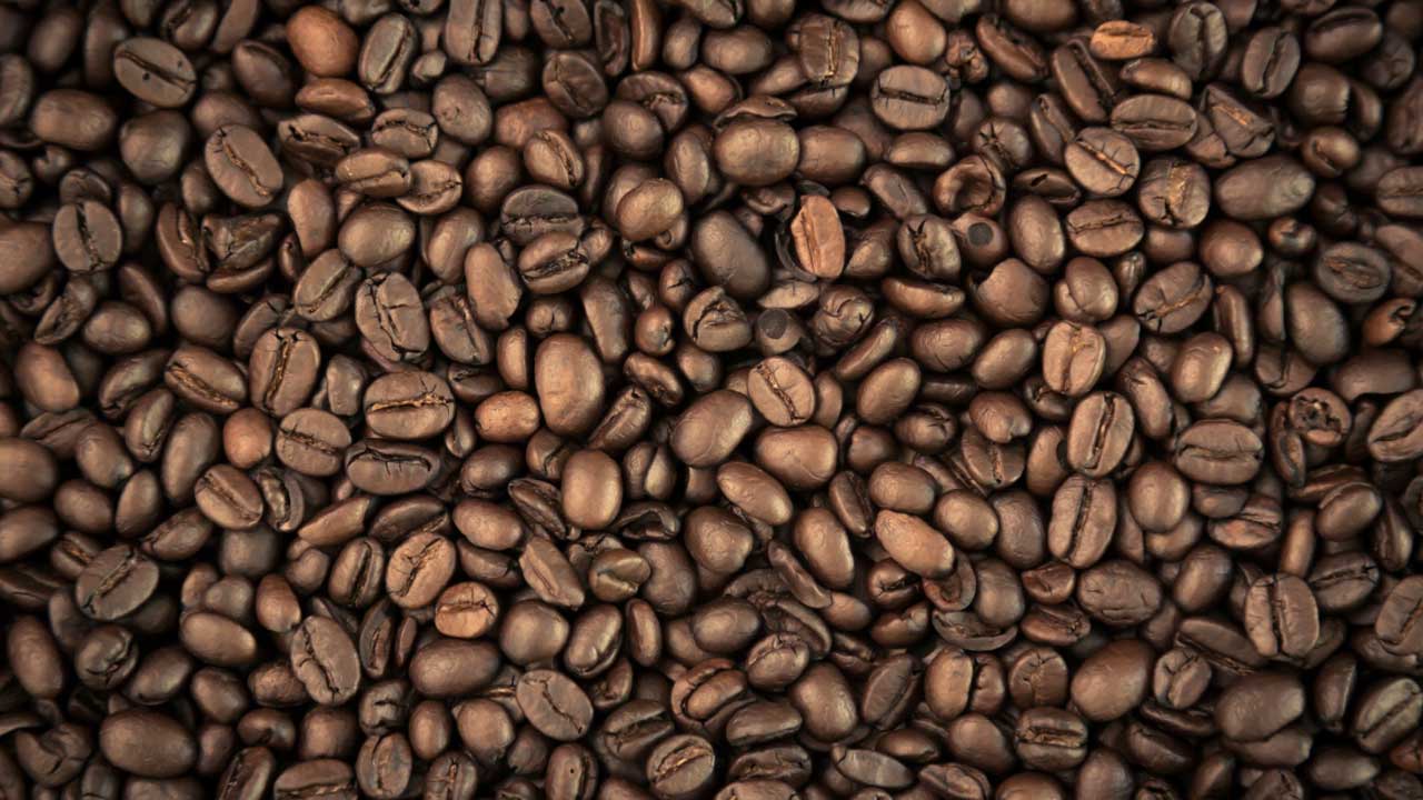 Produção de café sustentável: você já ouviu falar?