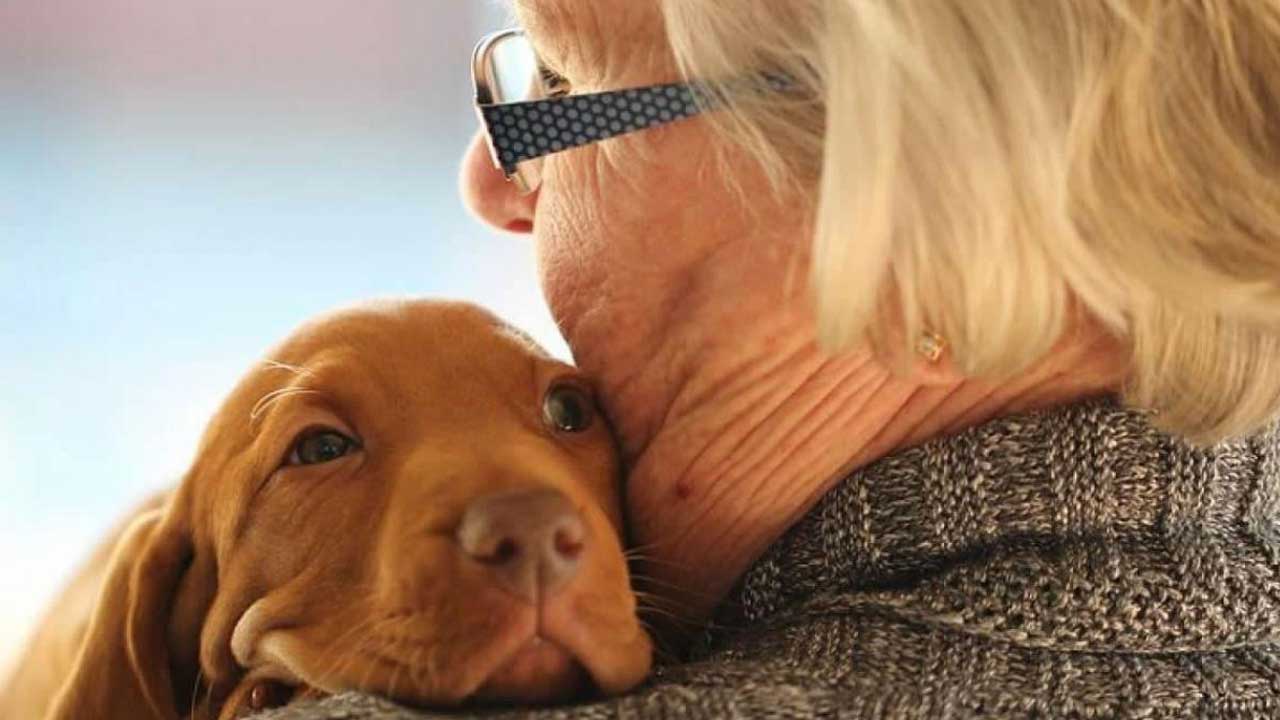 Os benefícios de animais de estimação aos idosos reclusos