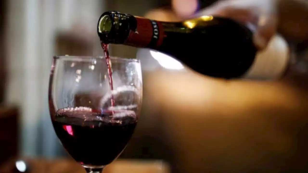 Desde 1997, Orion Vinhos, uma história de sucesso