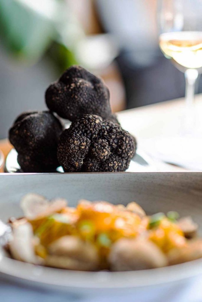 Pratos preparados especialmente para destacar o sabor inigualável das trufas. Foto: Divulgação