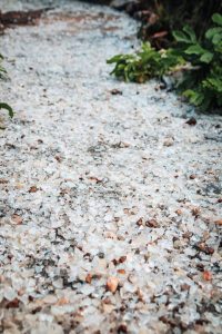 Adventure Park Cristalina. Foto: Divulgação