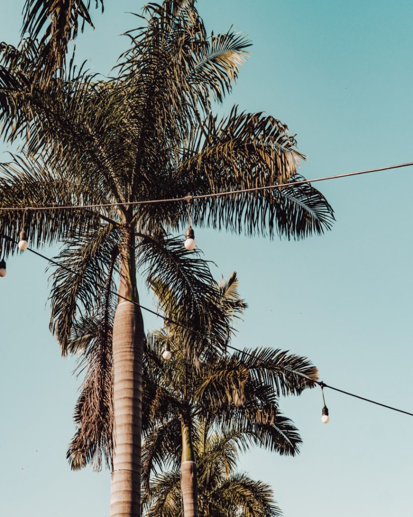 Detalhes do complexo Maaya. Foto: Divulgação