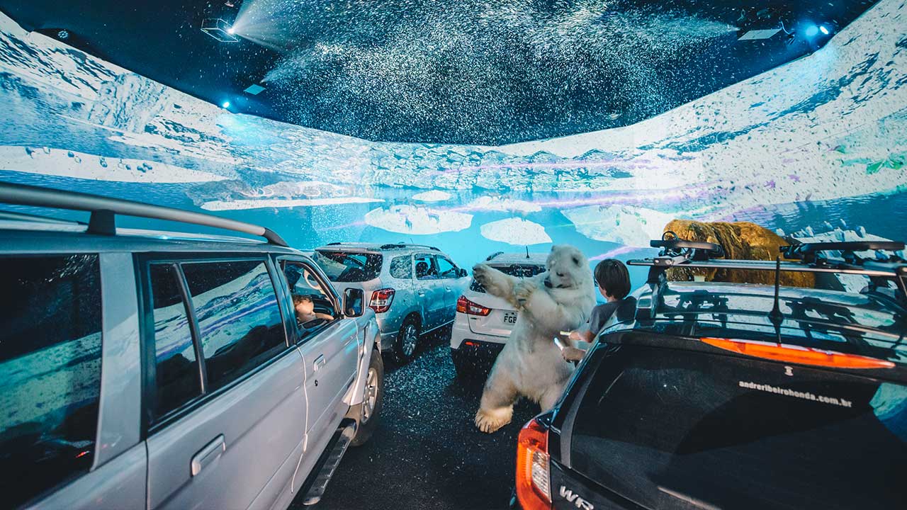 Viagem ao Mundo Animal. Foto: Camila Cara