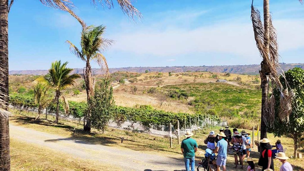 Foto: Jornal de Brasília