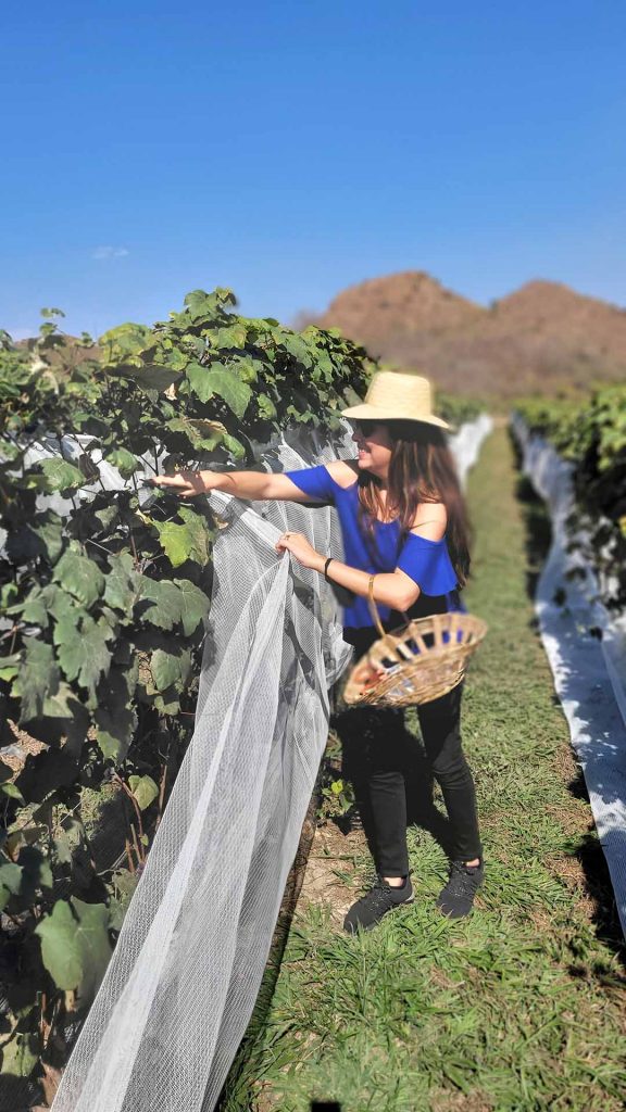 Foto: Jornal de Brasília