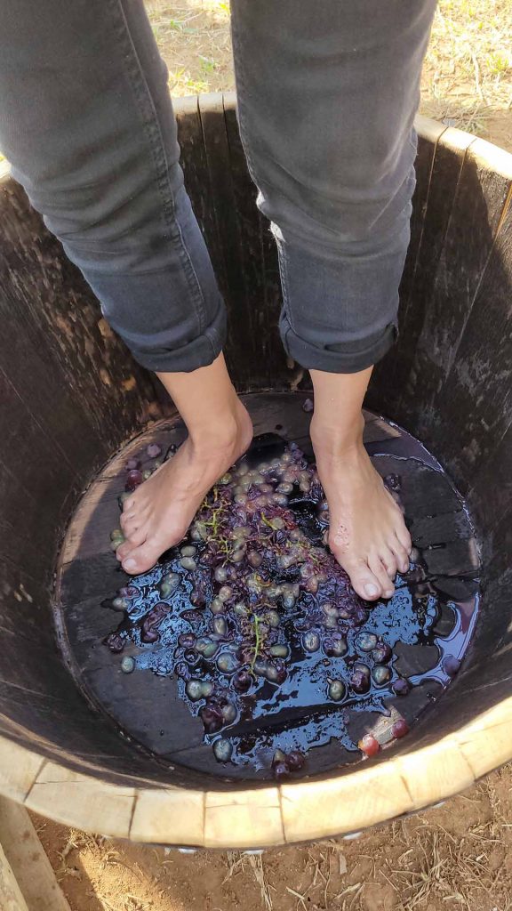 Foto: Jornal de Brasília