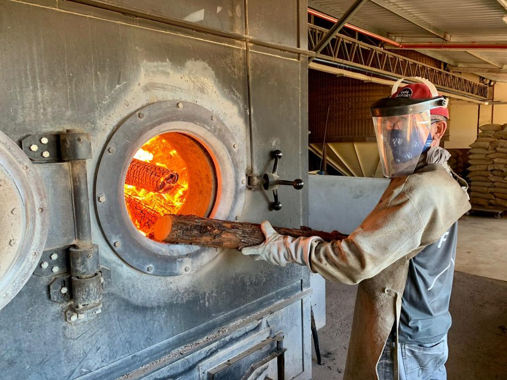 Seleção e torra do café. Foto: Café Export