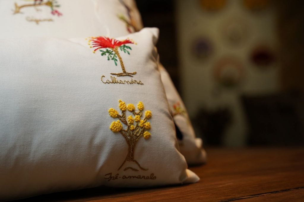 Foto: Renato Braga/Setur-DF