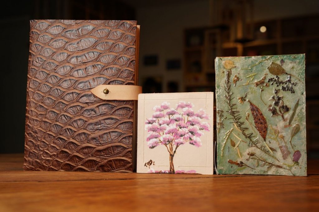 Foto: Renato Braga/Setur-DF