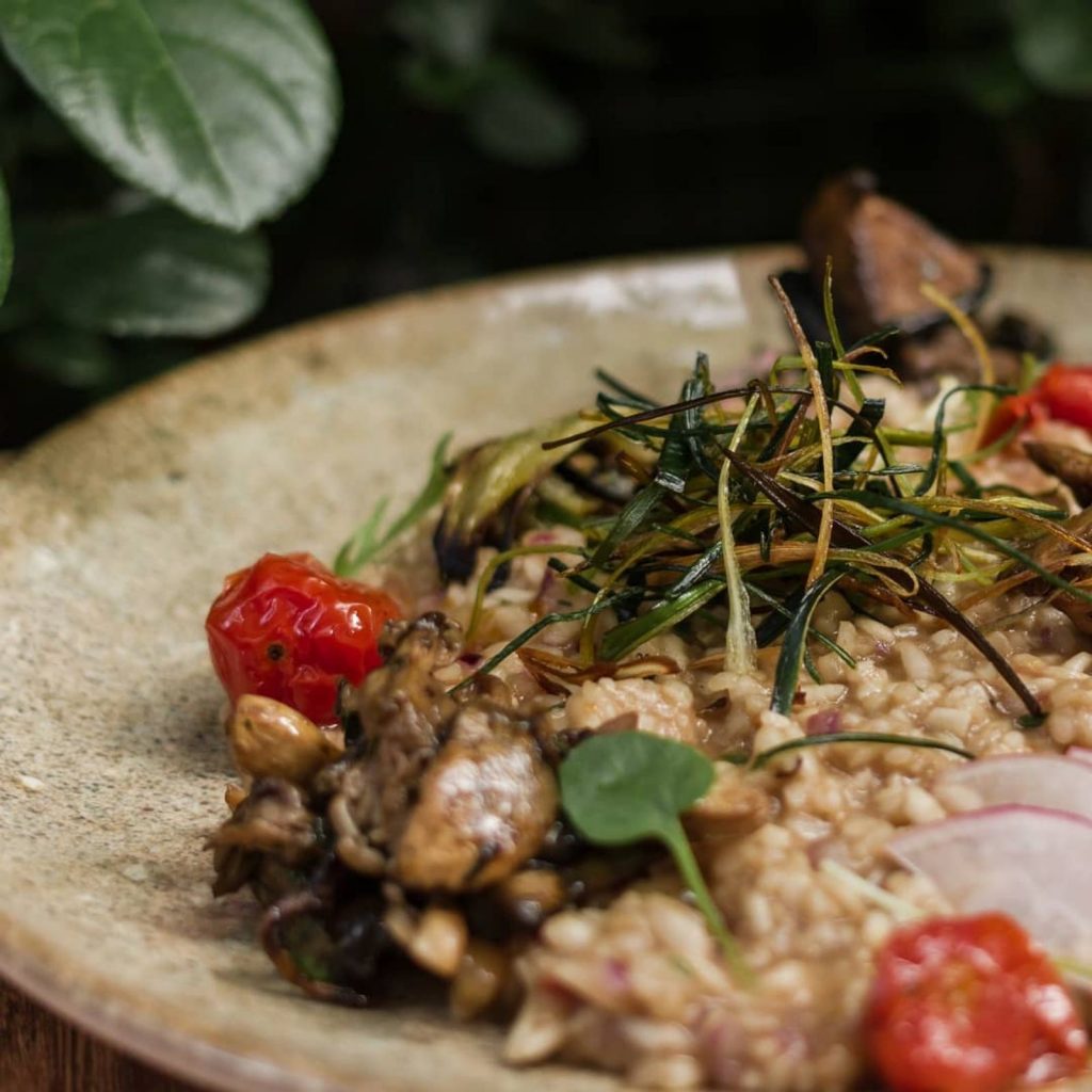 Risoto. Foto: Divulgação