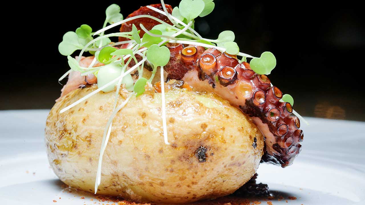 Para quem ama polvo, Sagrado Mar lança o Festival Nossos 7 Polvos