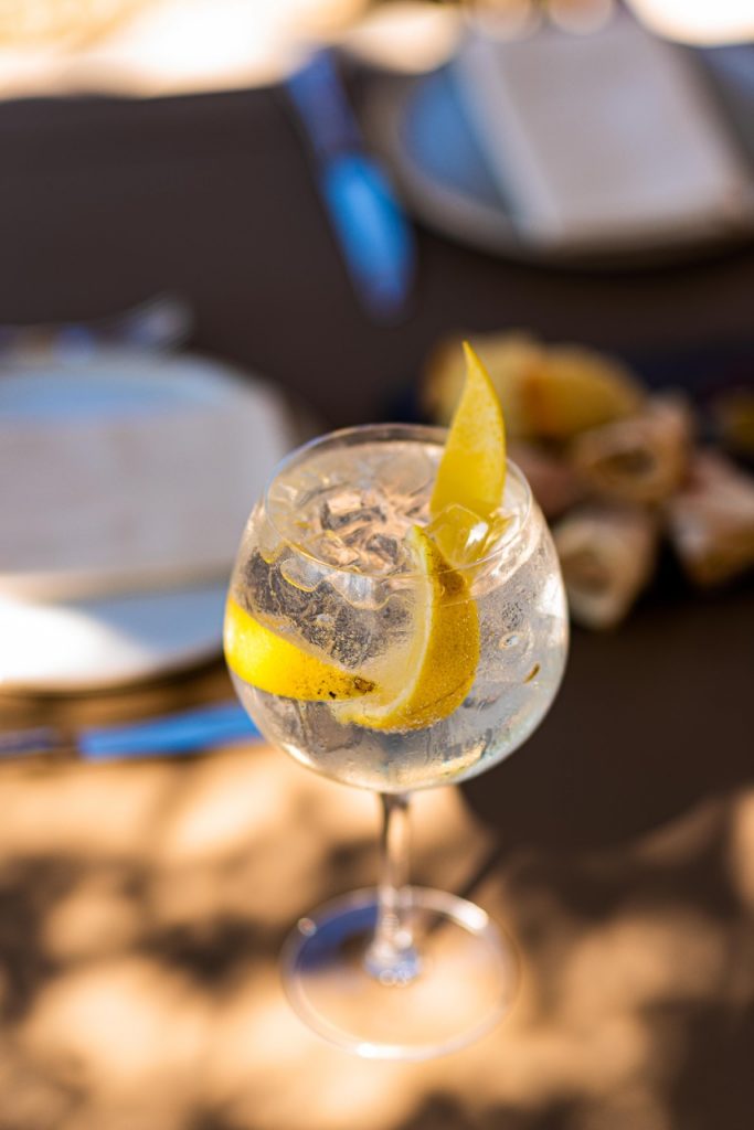 Gin Tônica. Foto: Divulgação
