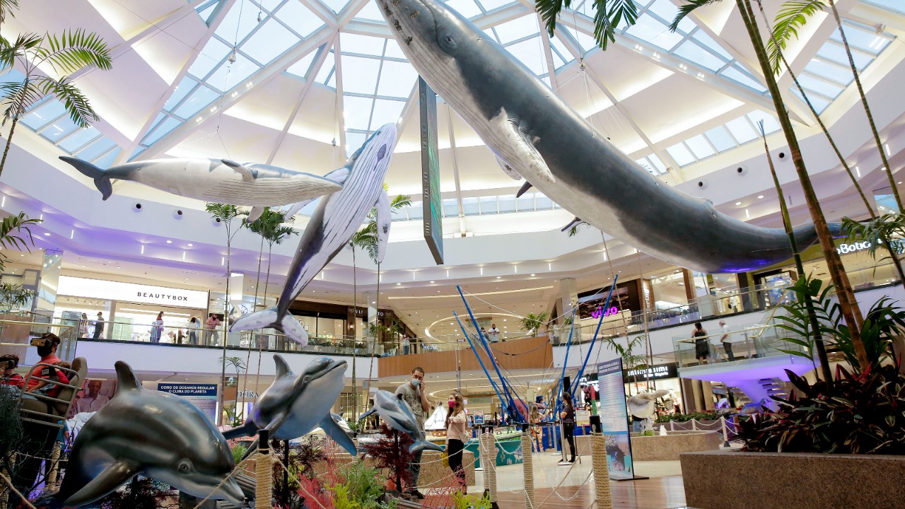 Atração inédita na capital ancora no mar de diversão do shopping, trazendo réplicas de grandes mamíferos aquáticos