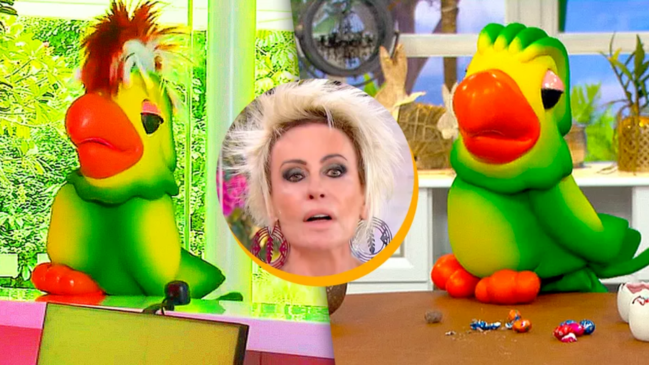 Desta vez, com um penteado diferente, o novo suposto filho de Louro José chega causando na recepção do programa