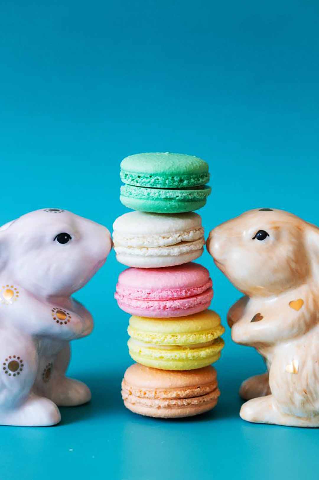 Nube Café. Foto: Divulgação