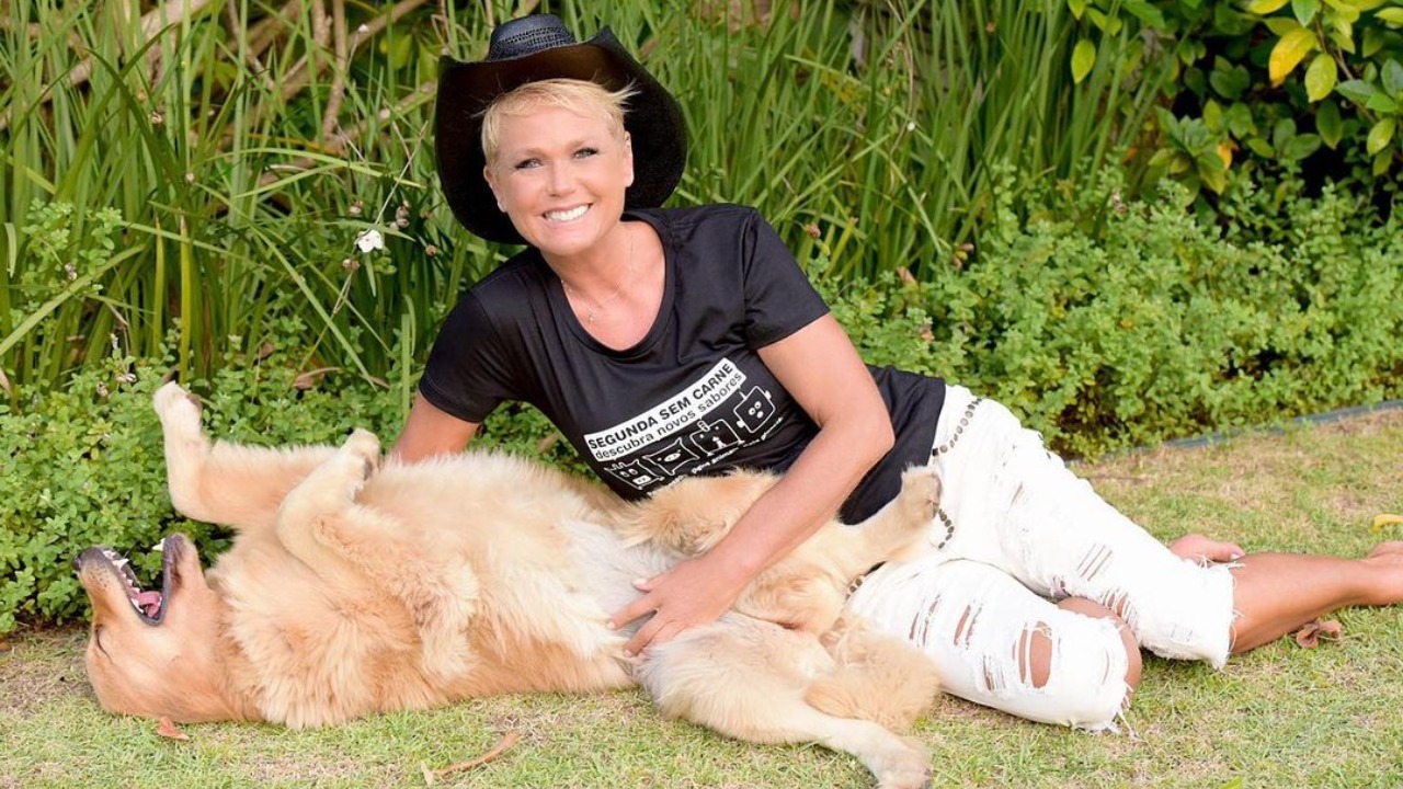 A artista contrariou uma seguidora e, segundo a legenda da publicação, a rainha dos baixinhos se recusou a tirar foto com a mulher