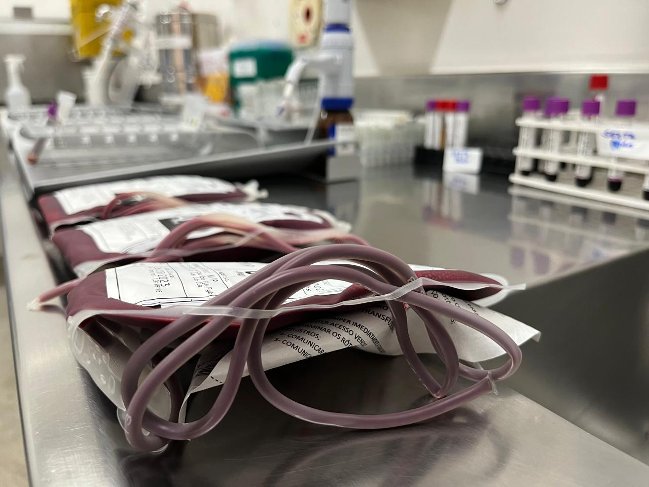 sangue uti doação banco de sangue transfusão sanguínea sangue