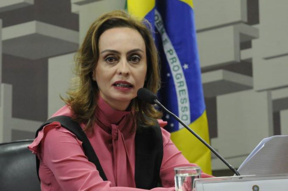 Carolina Assis de Barros