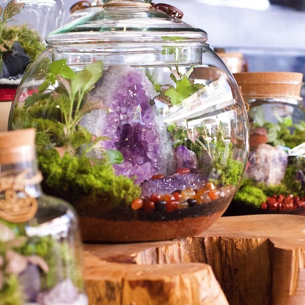 Terrários - Nano Garde. Crédito: Divulgação