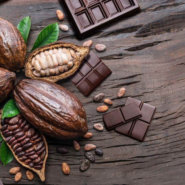 Chocolat Festival. Banco de imagens