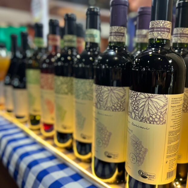Vinhos orgânicos gaúchos. Crédito: Divulgação/Expotchê