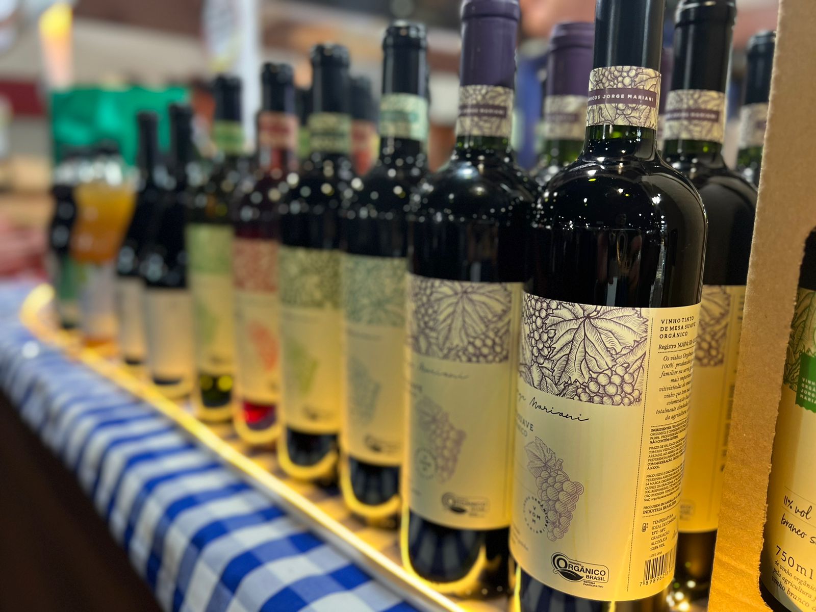 Vinhos orgânicos gaúchos. Crédito: Divulgação/Expotchê