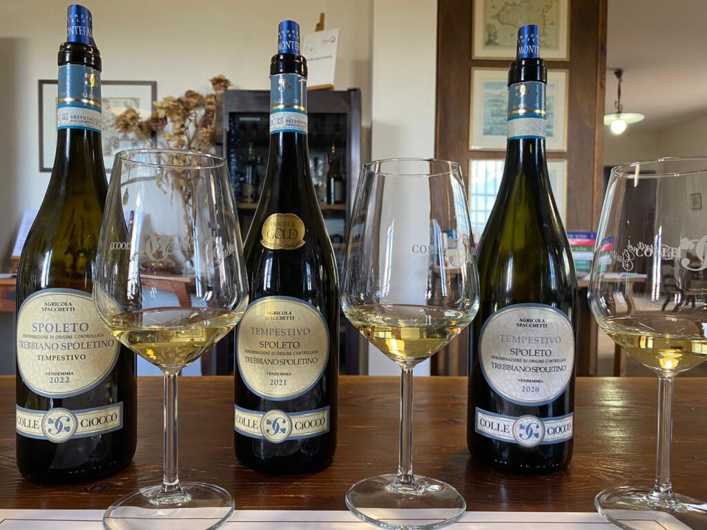 Vinhos elaborados com Trebbiano Spoletino, uma uva branca antiquíssima. Foto: Cynthia Malacarne