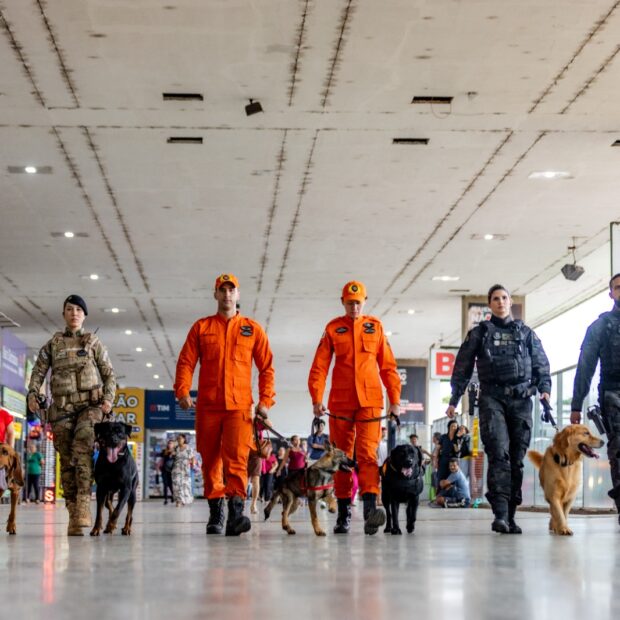 whatsapp image 2024 07 05 at 15.42.05