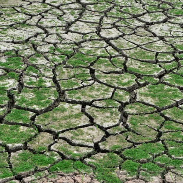 captura de tela 2024 07 09 062623