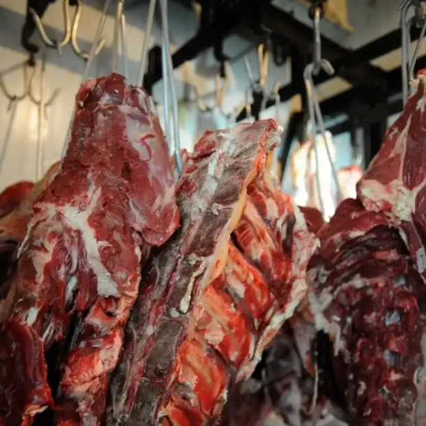carne
