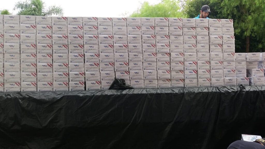 whatsapp image 2024 07 09 at 08.34.44 4