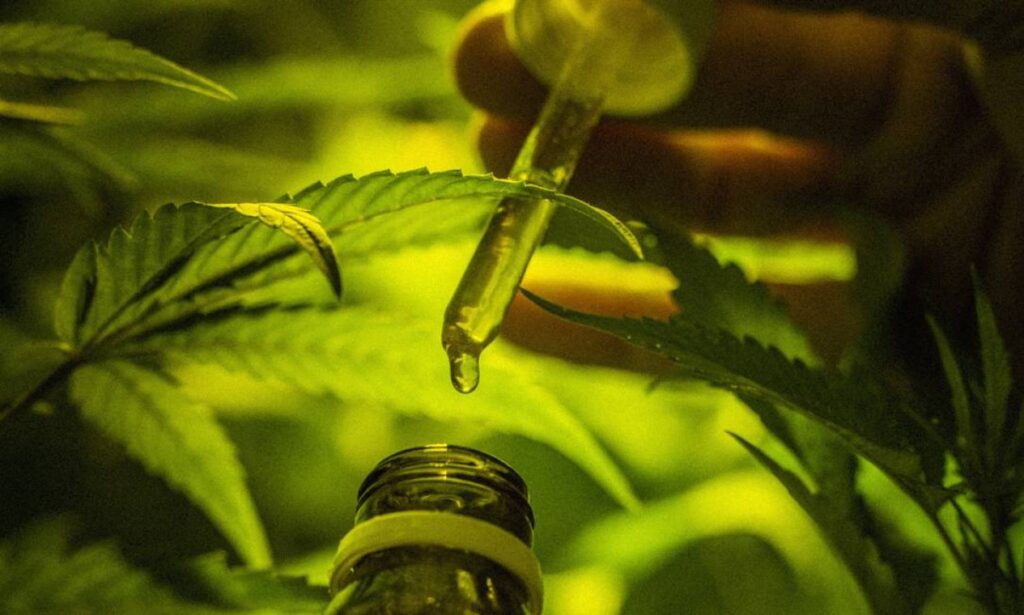 whatsapp image 2024 07 09 at 10.40.28 1